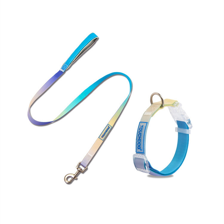Pet PVC jelly gradient traction rope - Image 4