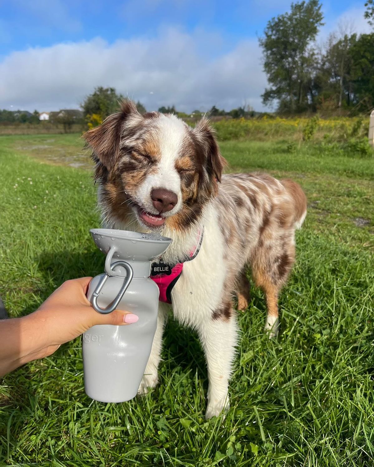 Pet Water Bottle