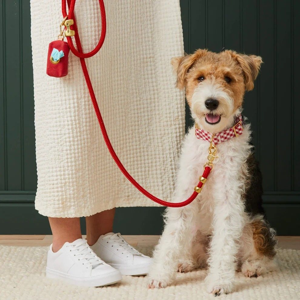 Pet furniture designed for everyday comfort