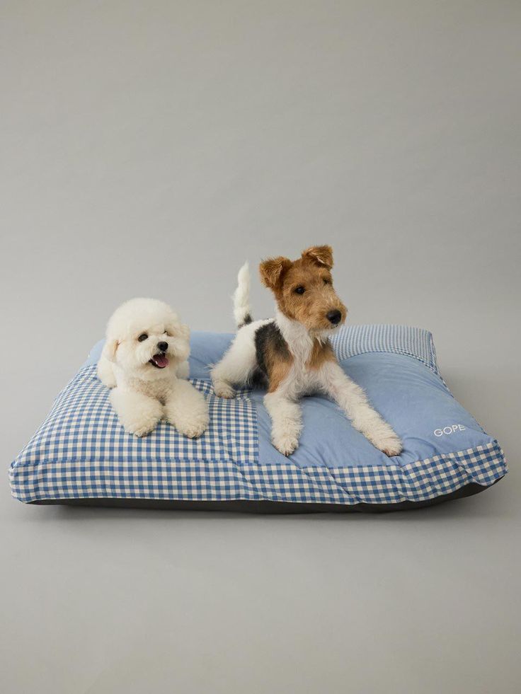 Dog Beds