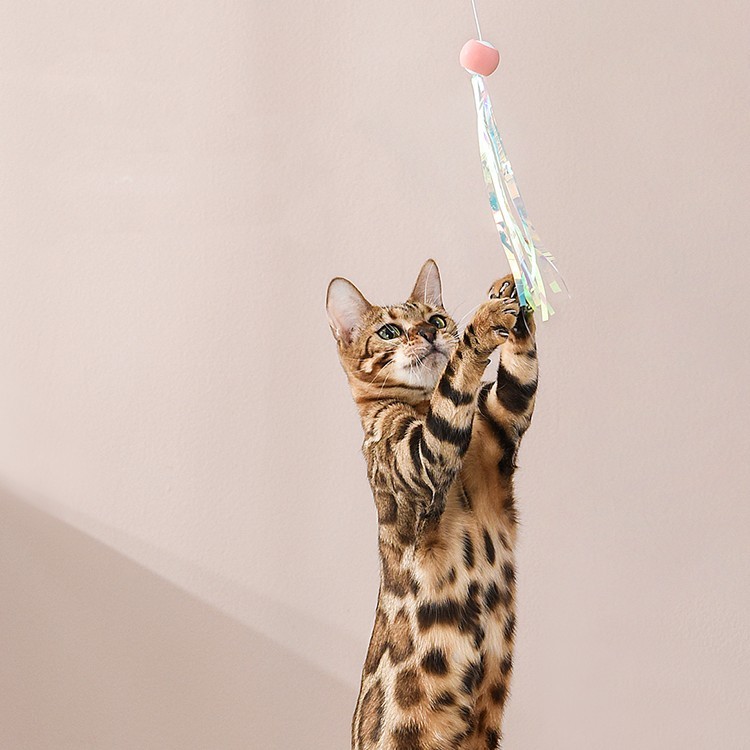 Retractable Chewable Cat Toy - Image 4